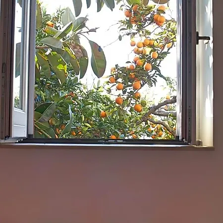 Il Giardino Del Sole * Roccarainola