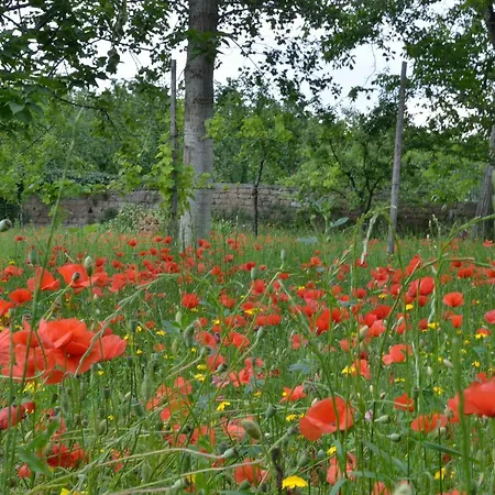 Il Giardino Del Sole *