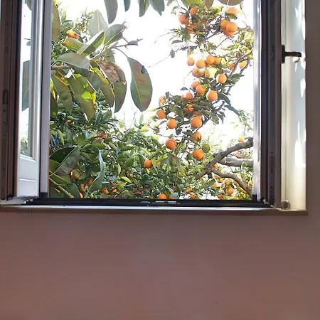 Il Giardino Del Sole Roccarainola